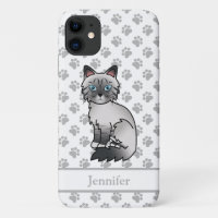 Blue Point Tabby Birman / Ragdoll Cat & Name