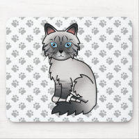 Blue Point Tabby Birman / Ragdoll Cute Cat & Paws