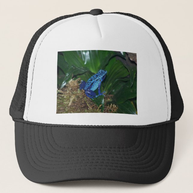 Blue Poison Arrow Frog Portrait Trucker Hat (Front)