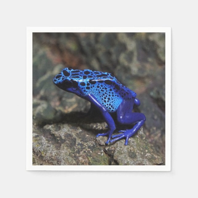 Blue Poison Dart Frog, Bright Blue Frog Napkin (Front)