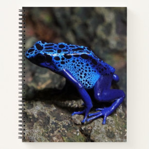 Blue Poison Dart Frog, Bright Blue Frog Notebook