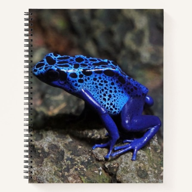 Blue Poison Dart Frog, Bright Blue Frog Notebook (Front)