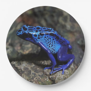 Blue Poison Dart Frog, Bright Blue Frog Paper Plate