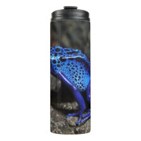 Blue Poison Dart Frog, Bright Blue Frog