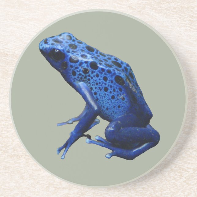 Blue Poison Dart Frog Coaster (Front)