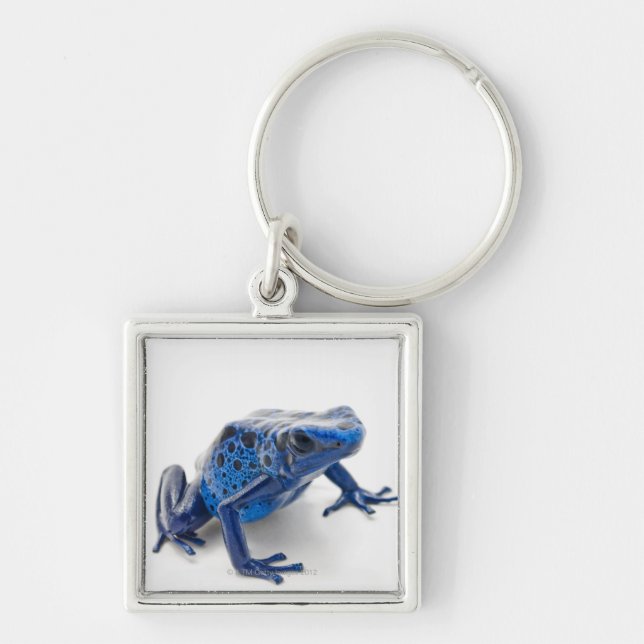 Blue Poison Dart Frog (Dendrobates Tinctorius) Key Ring (Front)