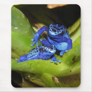 Blue Poison Dart Frogs In Leaf 1 Mouse Pad