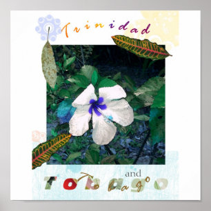 blue  pollen ts zazzle poster