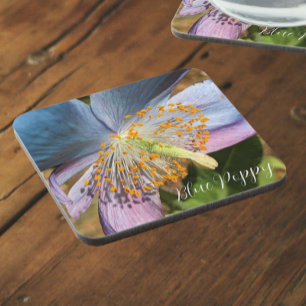 Blue Poppy Bloom Floral Coaster