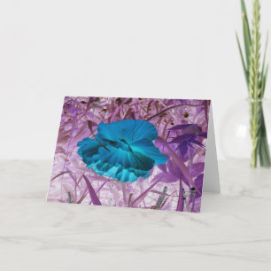 "Blue Poppy" Digitally Edited Photo: Flower, Grass Card