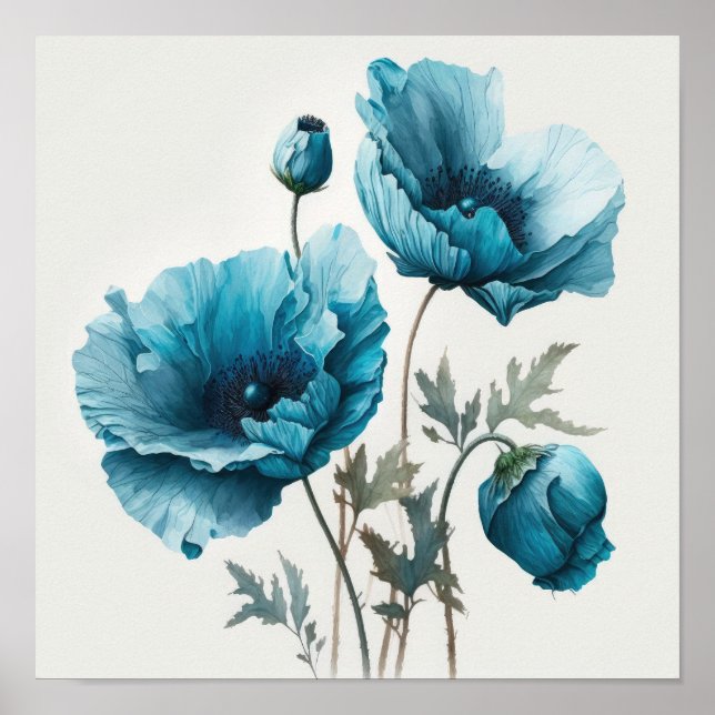 Blue Poppy Flowers Art Print Poster (Front)