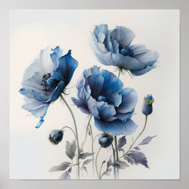 Blue Poppy Flowers Art Print Poster (Front)