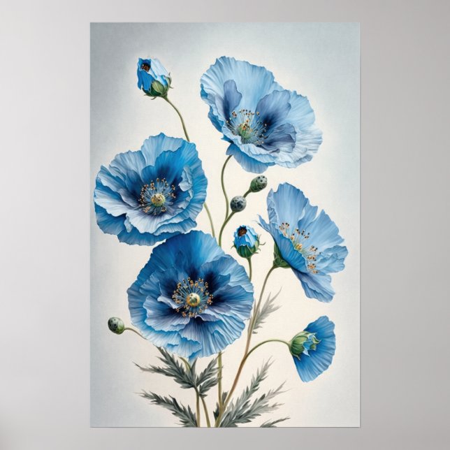 Blue Poppy Flowers Art Print Poster (Front)