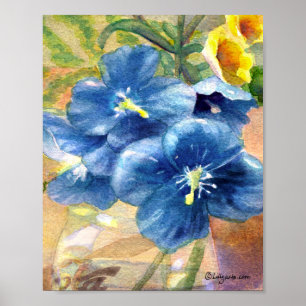 Blue Poppy Watercolor Close U Poster