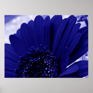 Blue Poster
