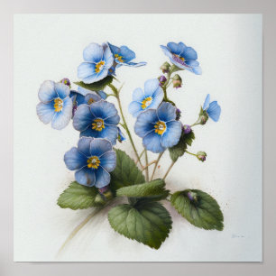 Blue Primrose Flowers Art Print Poster
