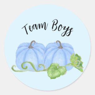 Blue pumpkin twin gender reveal Team Boys Classic Round Sticker