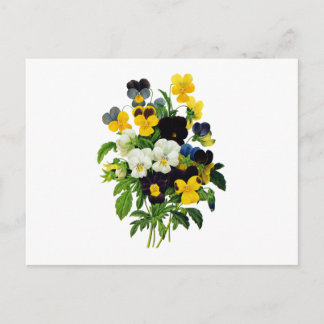 Blue Purple and Yellow Pansies By Redoute Postcard