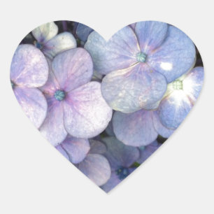 Blue Purple Hydrangea Heart Stickers