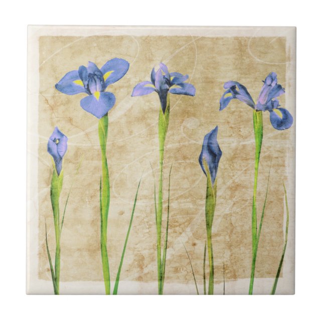 Blue Purple Iris Flowers Brown Background Floral Tile (Front)