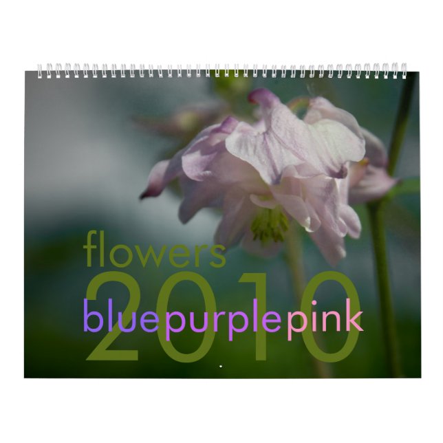 Blue Purple Pink Flowers 2010 Calendar (Cover)