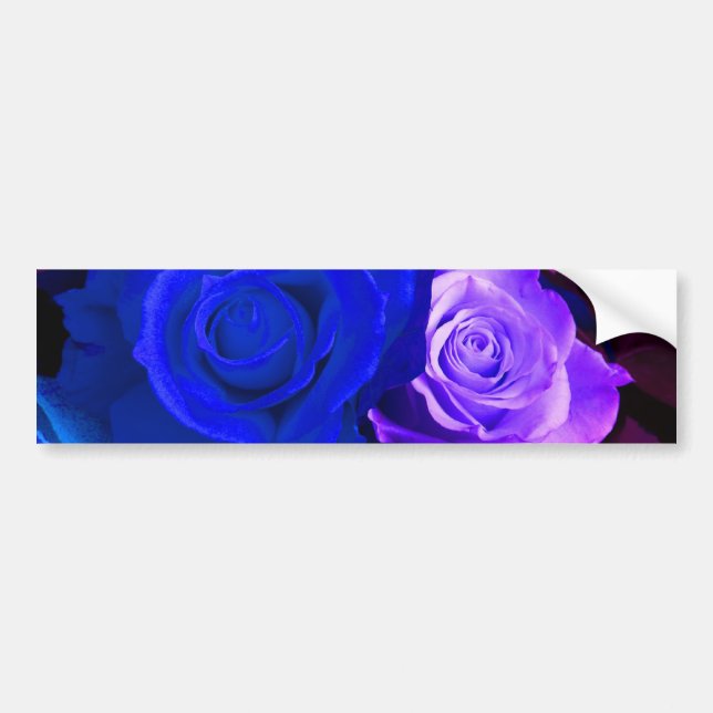 Blue Purple Rose Bumper Sticker - Customisable (Front)
