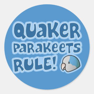 Blue Quaker Parakeets Rule Classic Round Sticker