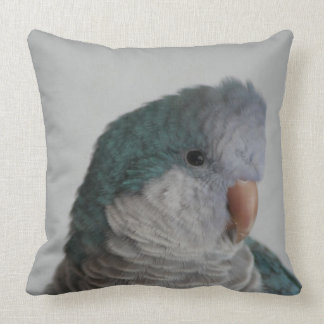 Blue Quaker Parrot Pillow