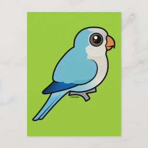 Blue Quaker Postcard
