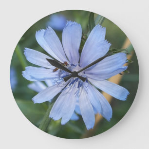 Blue Radicchio Flower N Bee Wall Clock