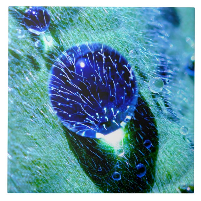Blue Raindrops Water Pearls, Quadrat Ceramic Tile (Front)