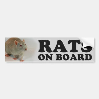 (Blue) Rats on board Bumper Sticker