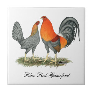 Blue Red Gamefowl Ceramic Tile