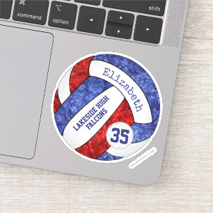 blue red girls' volleyball school team mascot name