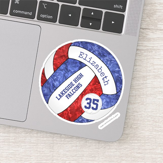 blue red girls' volleyball school team mascot name (Detail)