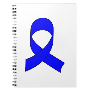 Blue Ribbon Drawing Notebook