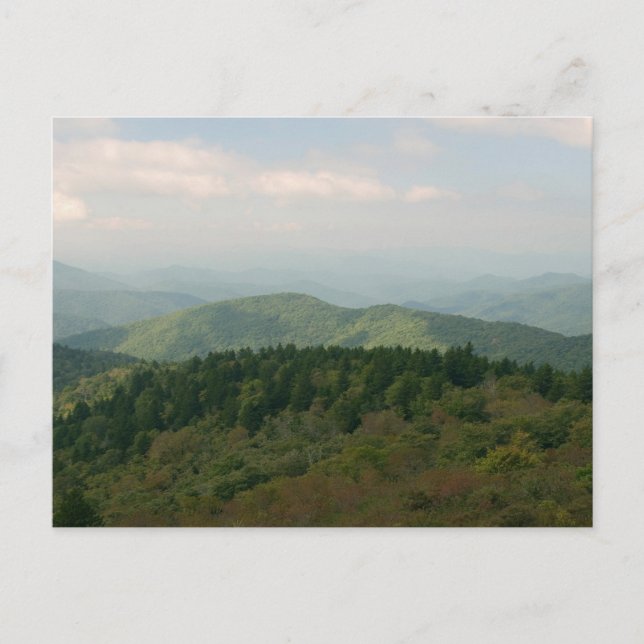 Blue Ridge Mountains Postcard (Front)