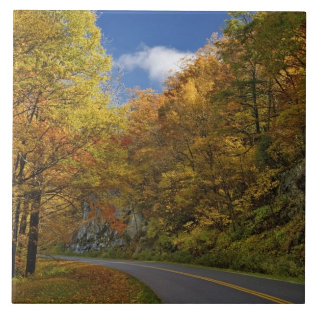 Blue Ridge Parkway curving through autumn colours Ceramic Tile (Front)