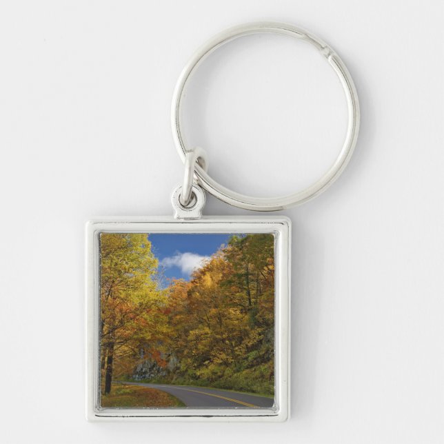 Blue Ridge Parkway curving through autumn colours Key Ring (Front)