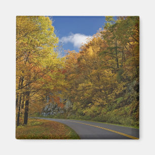 Blue Ridge Parkway curving through autumn colours Magnet