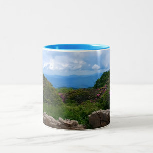 Blue Ridge Spring Mug