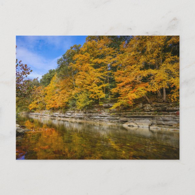 Blue river in the fall Postcard (Front)
