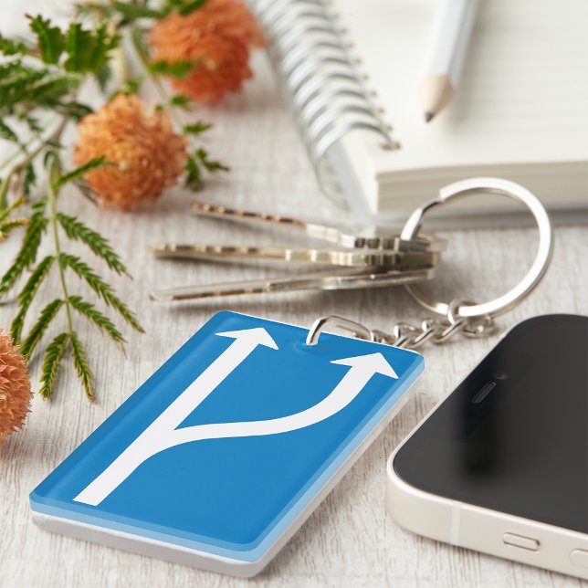 Blue Road Sign Two Straight Arrows Key Ring (Creator Uploaded)