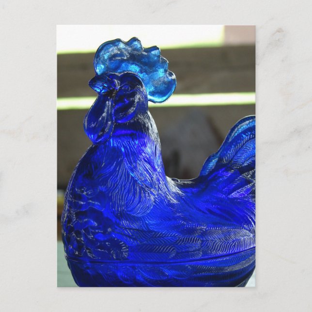 Blue Roo Postcard (Front)