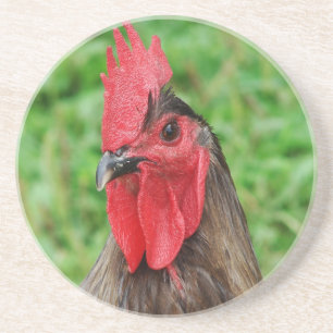 Blue Rooster Coaster