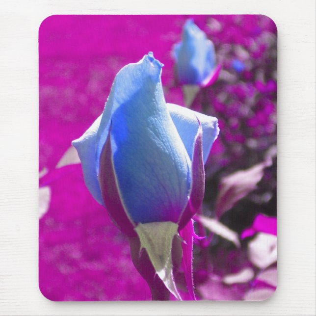 Blue Rose Bud Mouse Pad (Front)
