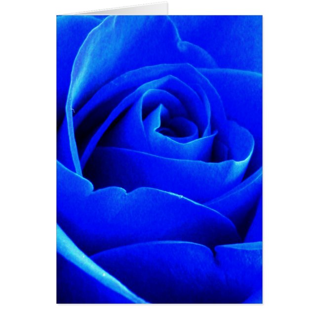 Blue Rose Card (Front)