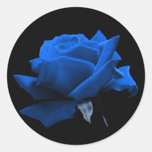 Blue Rose Classic Round Sticker