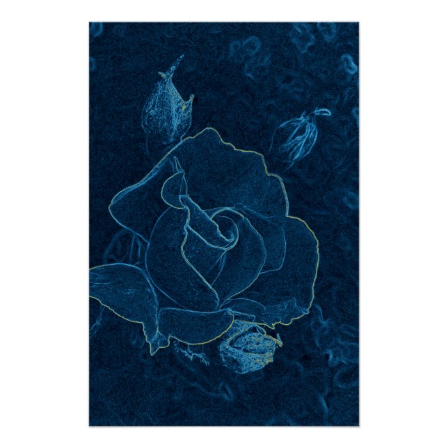 blue rose contour poster (Front)