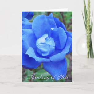 Blue Rose customisable card